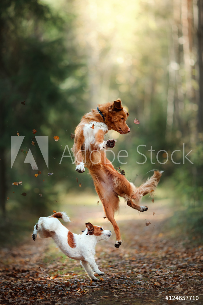 AdobeStock_124657710_Preview
