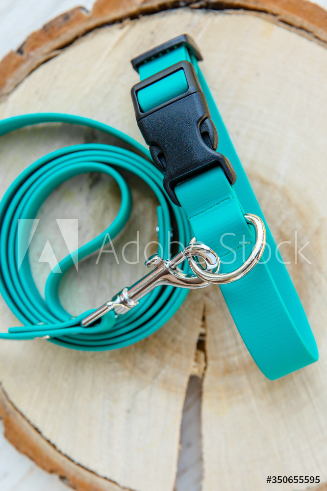 AdobeStock_350655595_Preview